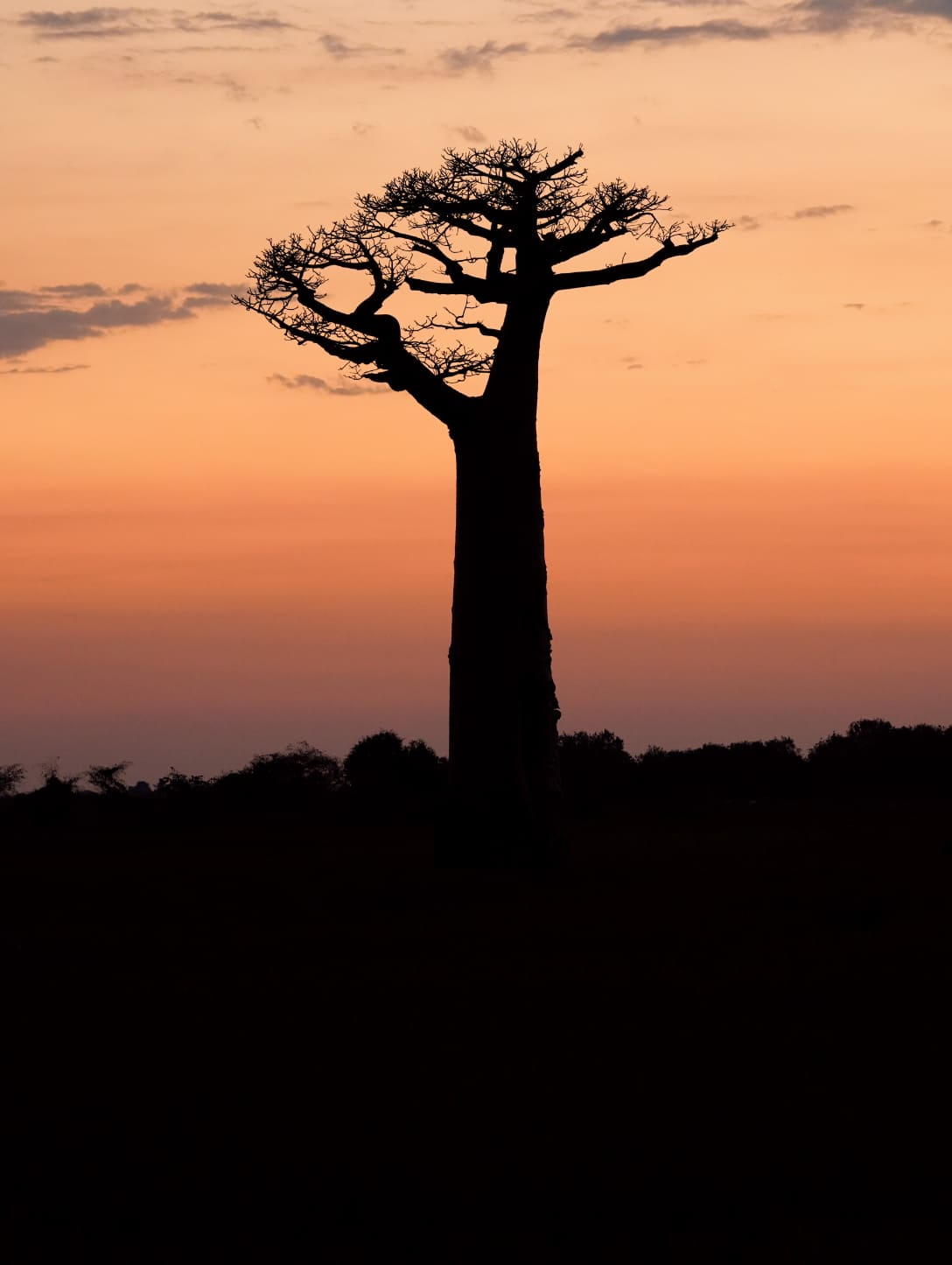 Photographie de voyage candidate pour la prochaine collection — 20.2508° S, 44.4189° E